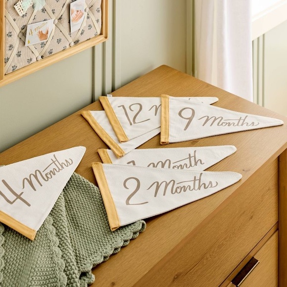 Newborn Milestone Pennants 6pc - Hearth & Hand™ with Magnolia - Picture 2 of 4